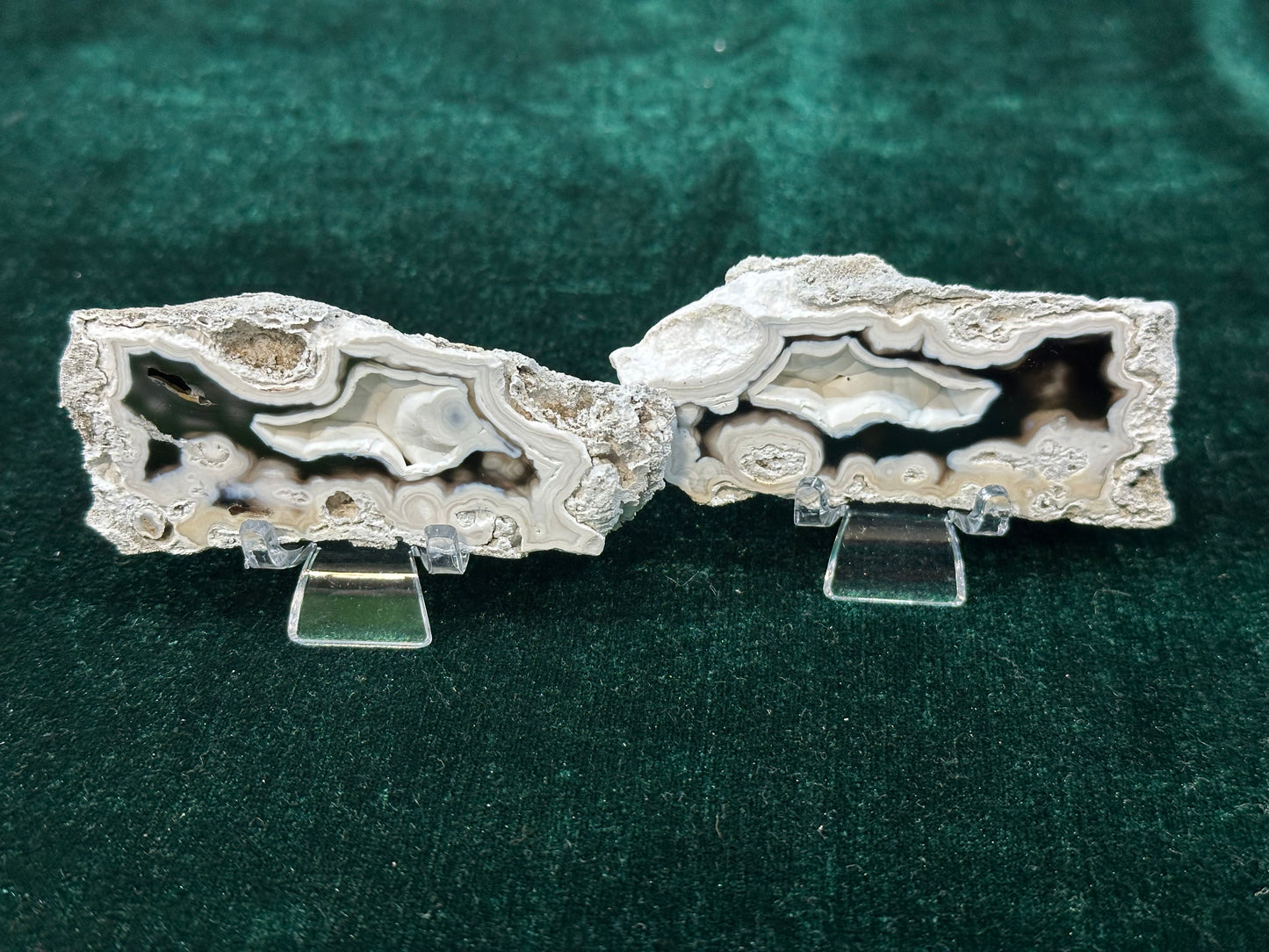 Agatized Coral Pair