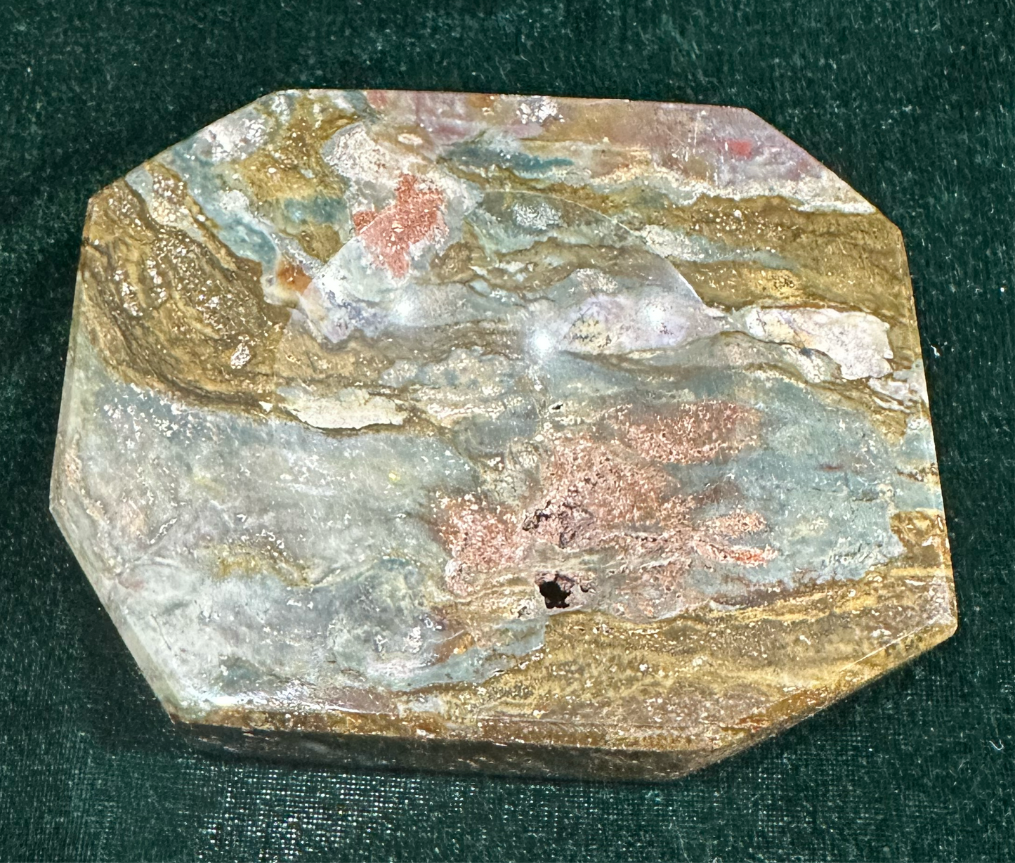 Sea Jasper Dish