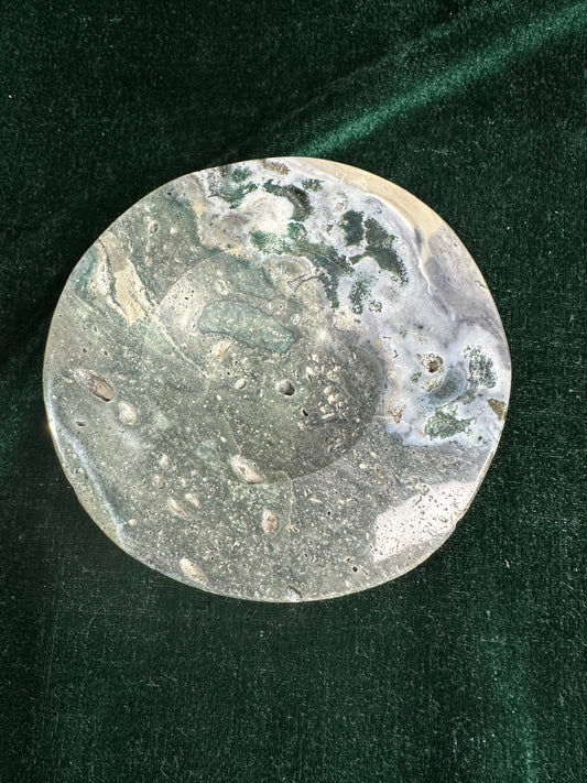 Sea Jasper Dish