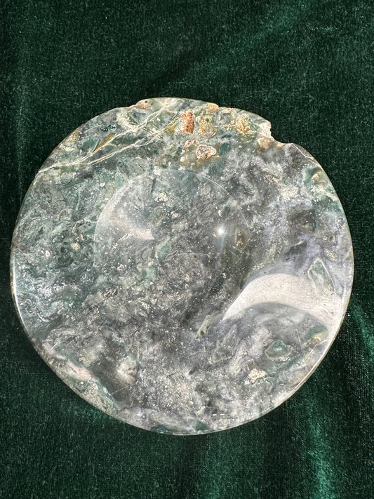 Sea Jasper Dish